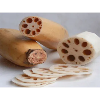 Common Lotus Root